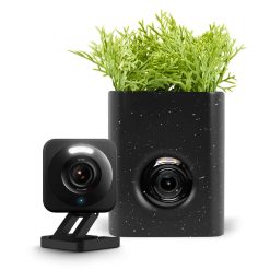 Wyze Cam Vase