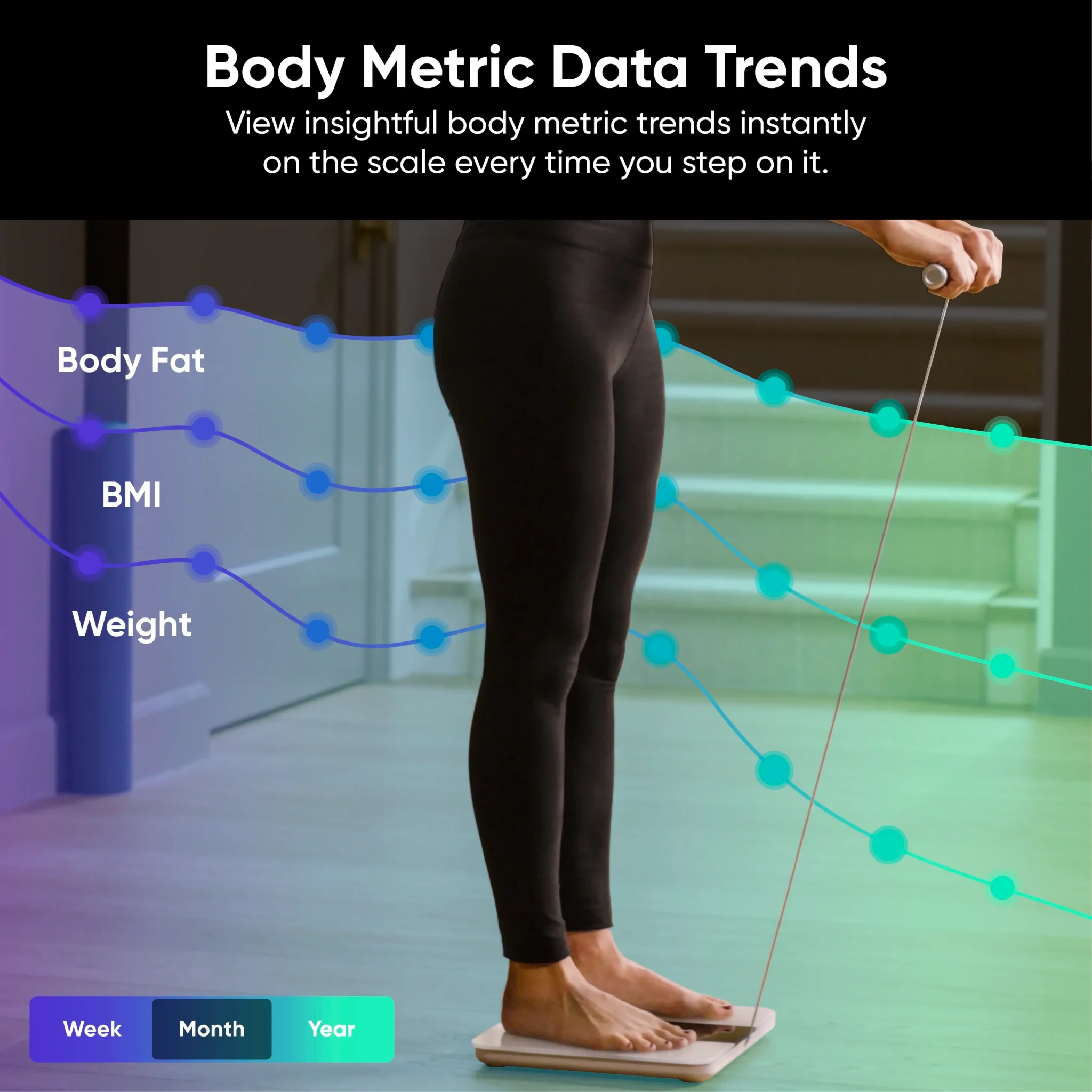 wyze-scale-bodyscan-wyze-labs-inc-8162473.png